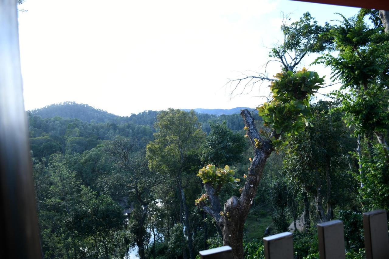 מדיקרי River View Guest House מראה חיצוני תמונה